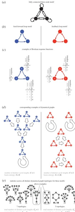 Figure 1. Illustration of motifs as Boolean networks. (a) The fully connected three-node motif, showing all nine possible connections