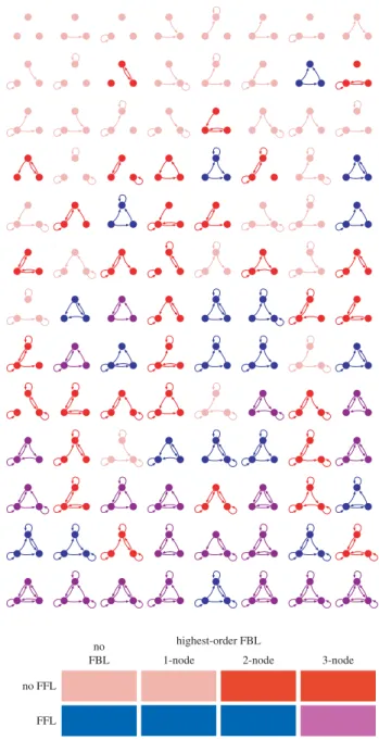 Figure 2. All 104 topologically distinct motifs, colour-coded according to the four categories described in the text