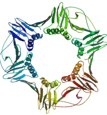 Figure 3: An example of a protein quaternary structure consisting of 3 polypeptide chains