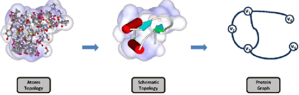 Figure 9: An overview of protein graph remodeling. [Peng and Tsay, 2014]