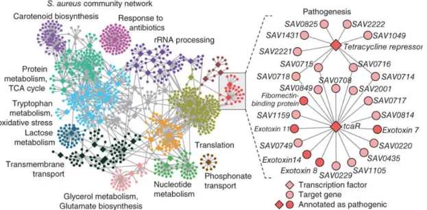 Figure 1.1: An example for module identification for a gene co-expression network.
