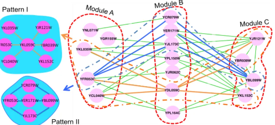 Figure 3.4: A subnetwork with sparsely connected modules detected by SGPG. Module A is enriched   