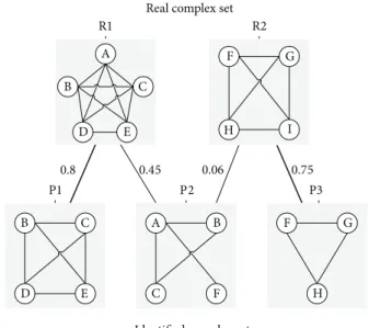 Figure 3: Example to illustrate the maximum matching ratio. R1 and R2 are real complexes, while P1, P2, and P3 are three predictions.
