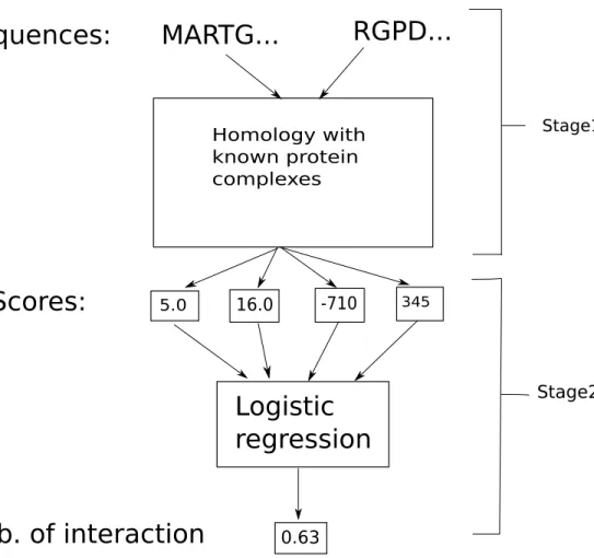 Figure 2-1: Struct2Net algorithm. The input to the algorithm are two protein sequences.