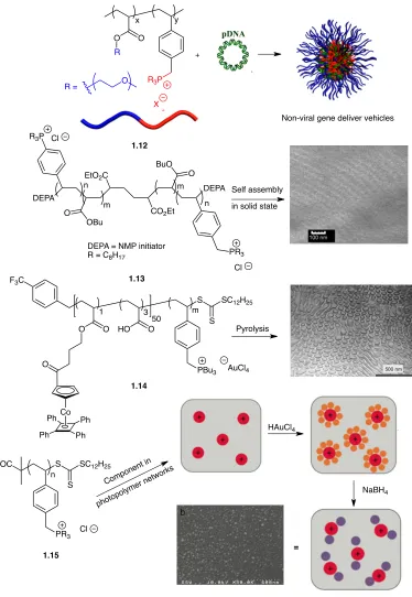 Figure 1-10: Copolymer, di-block copolymer, ABA tri-block copolymer, and metallo- phosphonium block copolymers used as precursors for functional materials