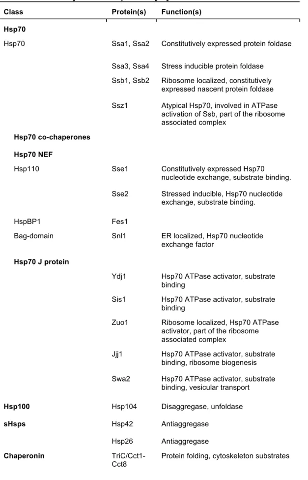 Table 1.1. Yeast Cytosolic Chaperones [22]. 