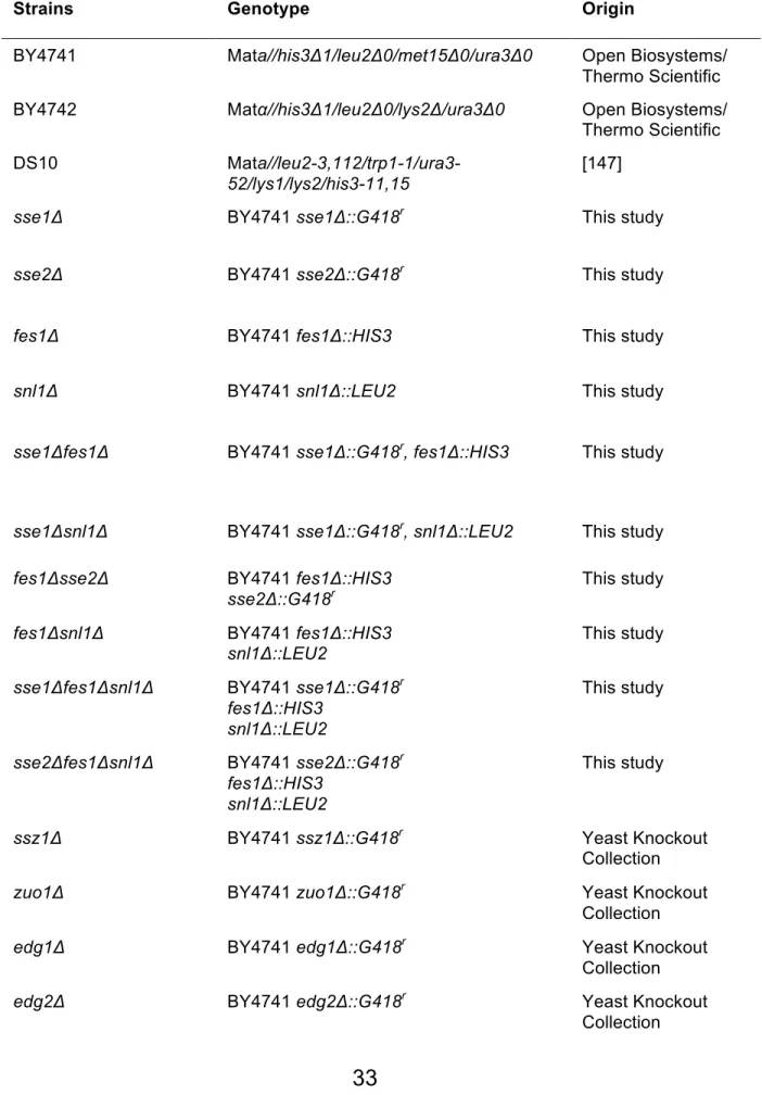 Table 2.1. Strains used in these studies 