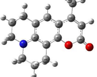 Fig. 1 The optimized structures of  C102 obtained by B3LYP/6-31G (d, p)  