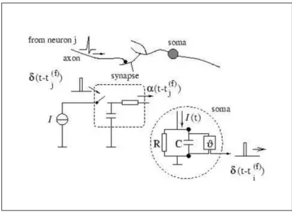 Figure 2.16: This figure illustrates a low-pass filter circuit at synapse location to filter presy- presy-naptic current δ(t − t f j ) producing an input current pulse, α(t − t f j )