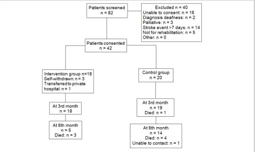 Figure 1: Consort Diagram