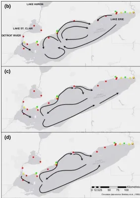 Figure 2.1. Location maps, tributary sampling locations (green circles), beach sampling locations (yellow circles), near shore sampling locations (red circles), and seasonal circulation patterns (black arrows) of Lake Erie