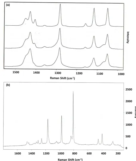 Figure 2.9. Relevant reference Raman spectra of polymers: (A) polyethylene (Raman spectra from Lewis (2001)), (B) polypropylene (Raman spectra from Michielsen (2001)), (C) polystyrene (Raman spectrum from McCreery Research Group (2014)), (D) poly vinyl chl