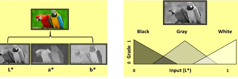 Fig. 2 Three triplets of L*a*b* color space. 
