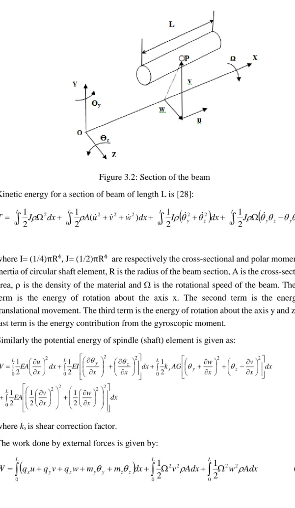Figure 3.2: Section of the beam  Kinetic energy for a section of beam of length L is [28]: 