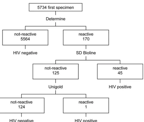 FIG. 3. HIV test results on the ﬁrst specimens collected.