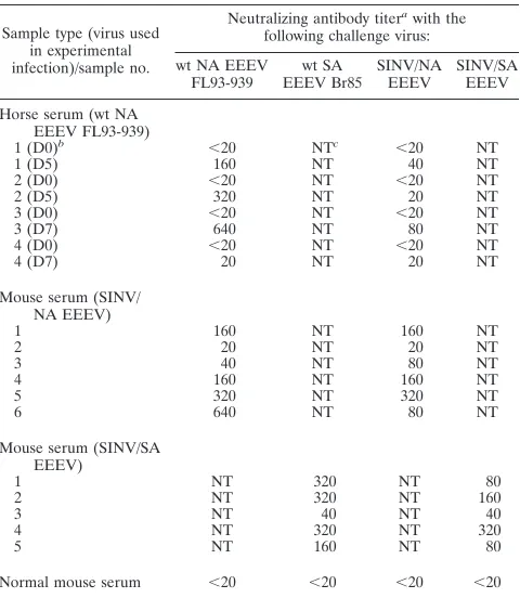 TABLE 1. Comparison of neutralizing antibody titers in sera fromexperimentally infected horses and mice using wt and chimericchallenge EEEVs in PRNT80