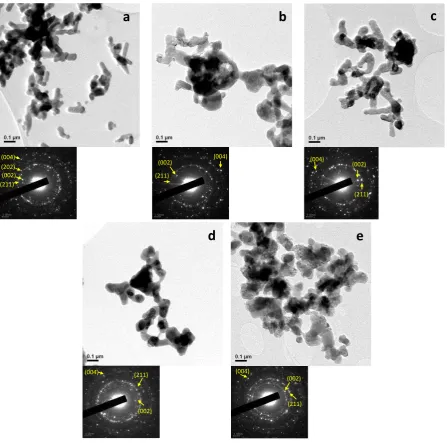 Figure 4.  TEM pictures and SAED patterns collected on samples HAp (a) TiHA8 (b) TiHA17 