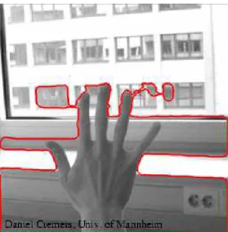 Figure 3. The active contour model fails to handle the topological changes of the moving fingers [13].