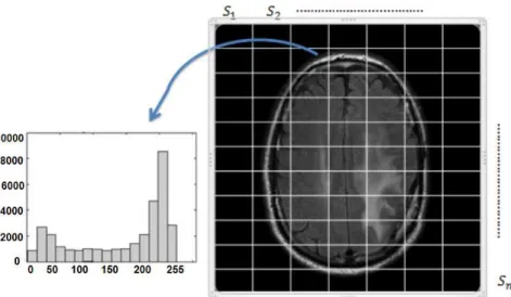 Figure 4. Building the data matrix and histogram factorization using PNMF.