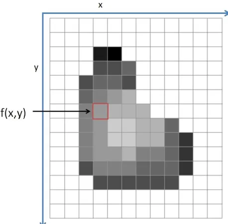 Figure 2.1: A representation of a digital image