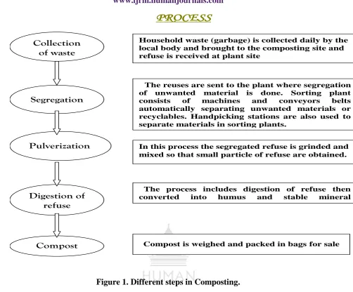 Figure 1. Different steps in Composting. 
