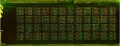 Figure 1.2 Microarray Image Analyses An ideal microarray image must have the 