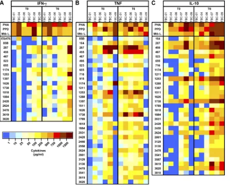 FIG. 1. Heat map of whole-blood cytokine responses to a subset of M. tuberculosisblood was obtained from six TB patients at time 0 (T0) and 6 months (T6) of antibiotic treatment and stimulated with Tris buffer, PHA, PPD,MtbL, or an individual recombinantmu