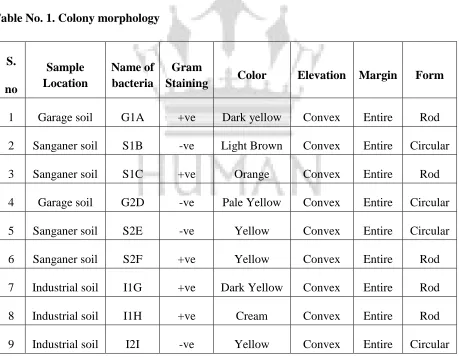 Table No. 1. Colony morphology  