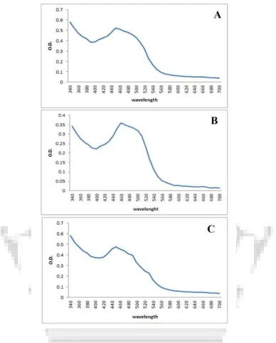 Fig. 3. UV spectrophotometer analysis showing graph A, B and C for bacteria stain S1B, 