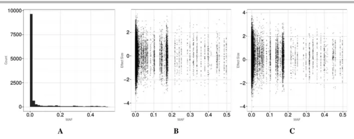Figure 2. Panel (A): The range and the distribution of MAF for all variants. Panels (B) and (C): MAF distribution of causal variants by the effect size.