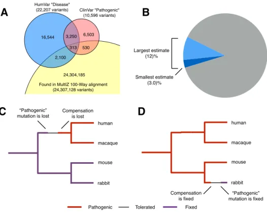 Figure 2.1: Distribution of variants found in sequence alignments. A) Venn diagram showing sizes and overlap of the ClinVar and HumVar datasets of human disease variants, and how many are found in the multiple sequence alignment.