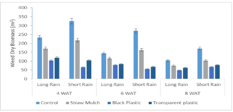 Figure 2. The weed fresh, above ground, biomass during the long raining season of March – August and short raining season of September - December 2015 in Busia, Kenya under different mulching materials  
