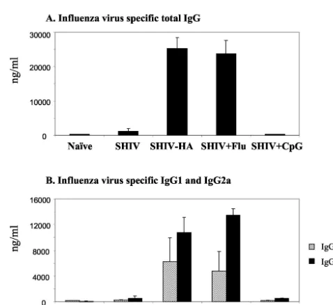 FIG. 1. Humoral immune responses against HIV Env after intra-nasal immunization of C57BL/6J mice with SHIV VLPs