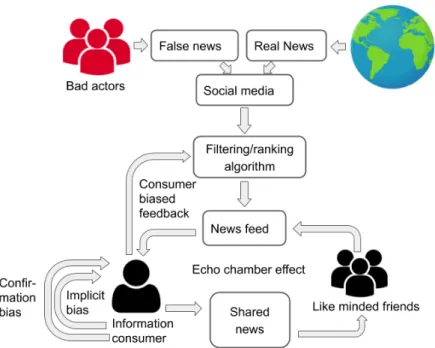 Figure 1.2: Information consumption process and its associated risks, such as our biases and reinforcing feedback loops