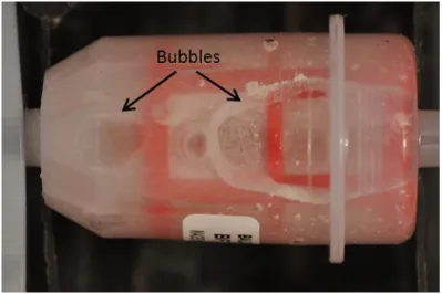 Figure 3.13. Accumulated bubbles inside the filter container 