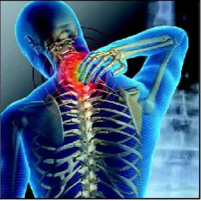 Figure 2  Tenosynovitis  
