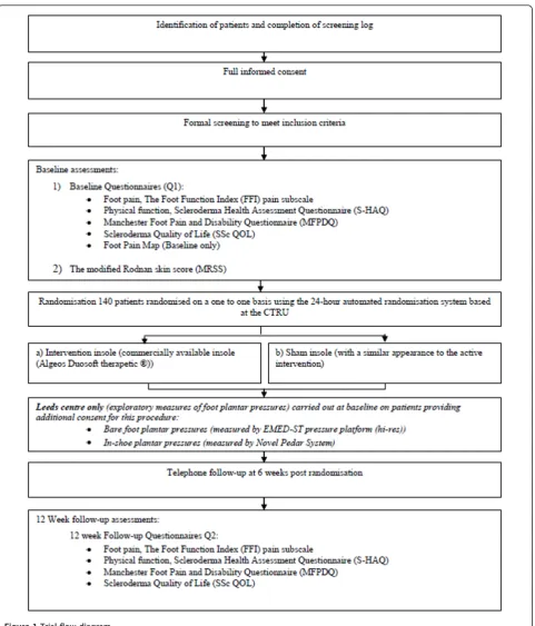 Figure 1 Trial flow diagram.