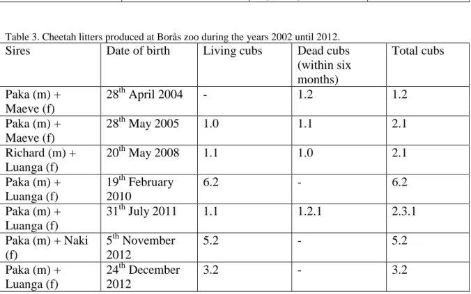 Table 3. Cheetah litters produced at Borås zoo during the years 2002 until 2012.  