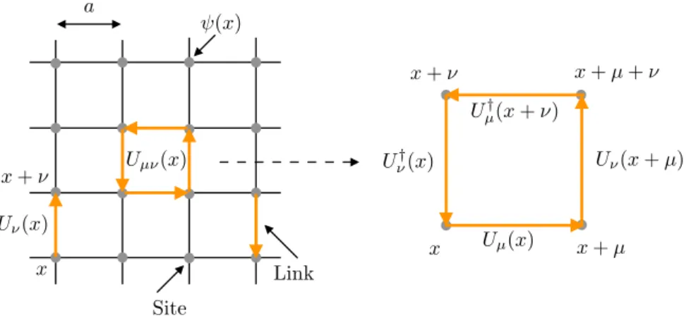 Figure 1.3: Left: An isotropic hypercubic lattice. Sites x denote where the quark fields ψ(x) are placed at
