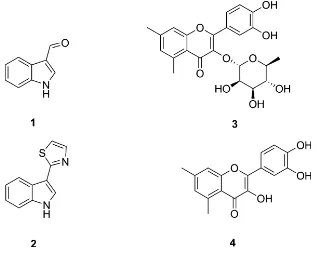 Fig. 1. Ligands Used in this Study. 1 = Indole-3-aldehyde; 2 = Camalexin; 3 = Quercetrin; 4 = Quercetin.
