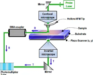 Figure 1.5: Schematic of AFM/SNOM system showing the collection of probe laser light for 