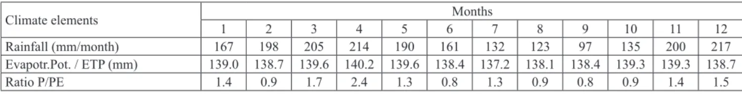 Fig. 3. Water balance (soil water status)