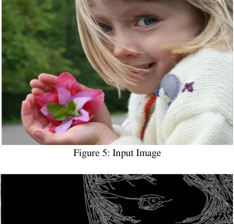 Figure 5: Input Image 