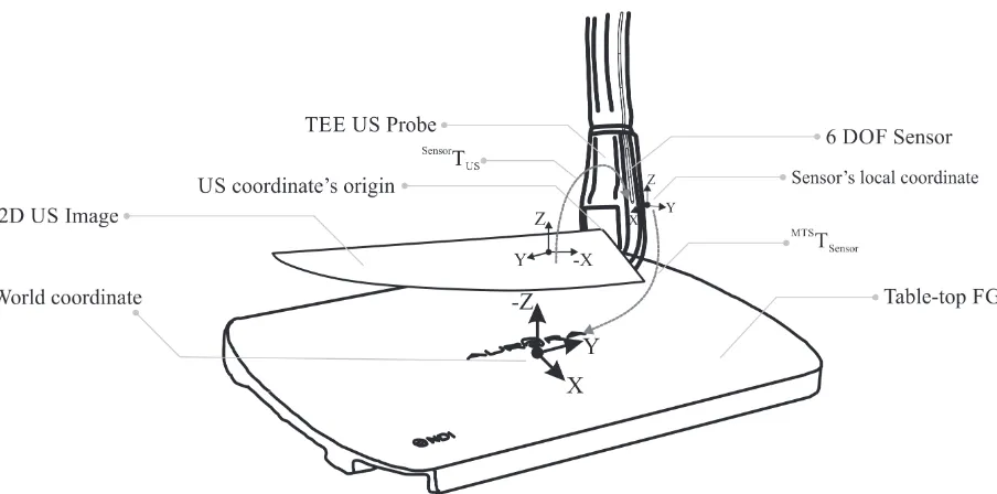 Figure 1.9: A tracked TEE ultrasound probe within a magnetic ﬁeld. The ﬁgure above demon-strates the transformation (SensorTUS) (i.e