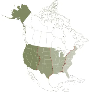 Figure 1:  Migratory Bird Flyways 32