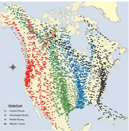 Figure 2:  Biological Flyways 35