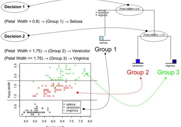 Figure 3: Example decision tree classifying the species of flowers in the iris dataset