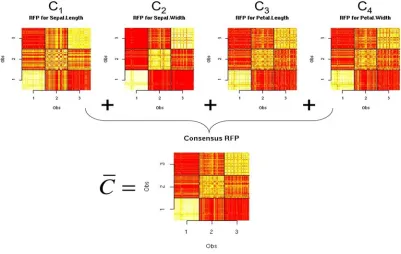 Figure 14: An illustration of combining RFPs into a consensus proximity matrix, C , using the iris dataset
