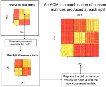 Figure 26: Illustration of the construction of an ACM for the iris dataset. 