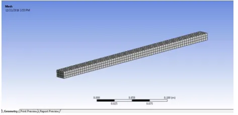 Fig : Meshed Geometry 